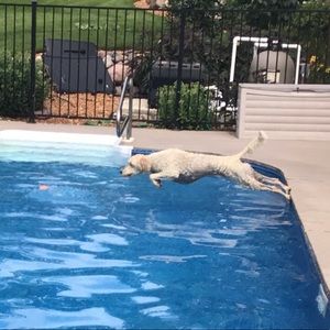 Meet your Posher, Cheryl